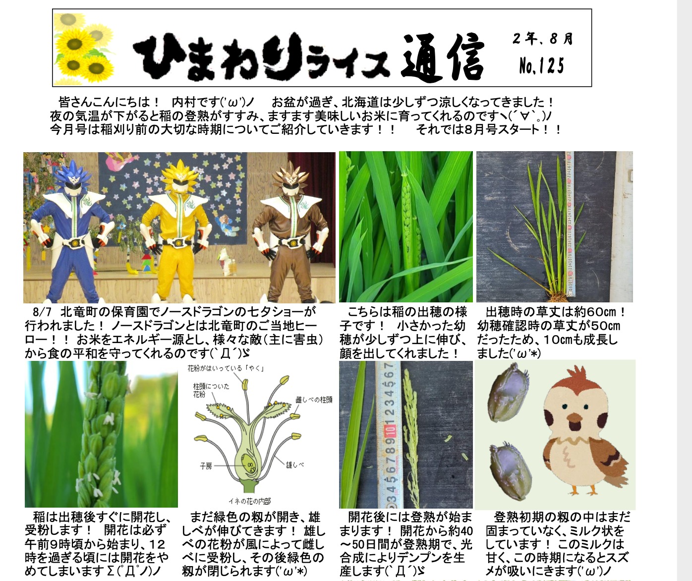 सूरजमुखी चावल समाचार पत्र संख्या 125, अगस्त 2020 [जेए कितासोराची होकुर्यु शाखा]