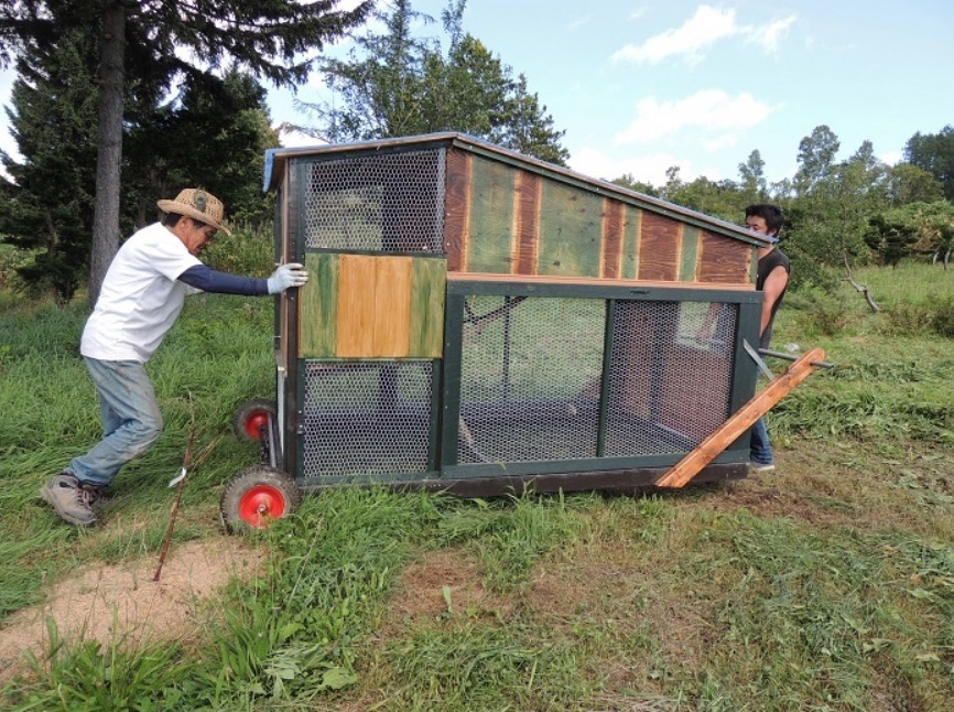 チキントラクター【扉をひらいて・尾崎圭子さん】