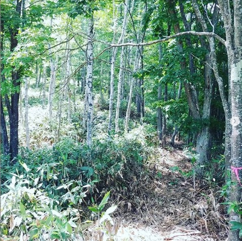 山に道をつけることは、単純に見えてとても難しい作業です【自然下・上井達矢さん仁美さん】