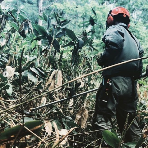 まずは笹を刈る前の林内を調査。 区画を作り、笹の数と木の萌芽(=木の赤ちゃん)が何本あるかを数えます【自然下・上井達矢さん仁美さん】