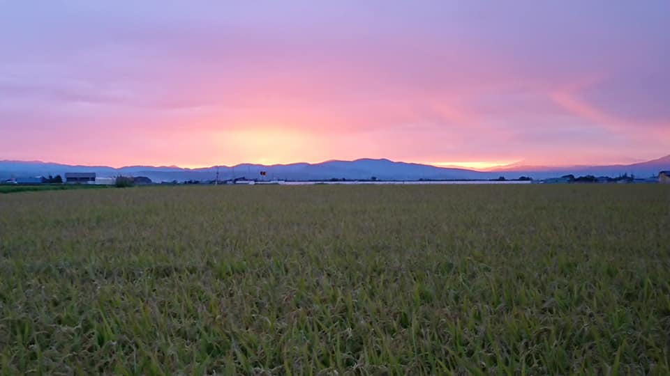 北竜町長 佐野豊 活動報告・8月31日（月）北空知圏振興協議会・学校給食組合正副組合長会議(深川市)