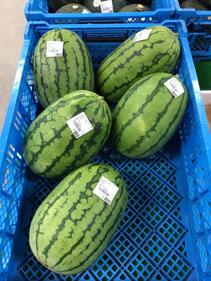 色々な品物： 大きな鞘の枝豆・たまふくら・甘いとうきび・サニーショコラ・マダーボールのスイカ🍉・落葉きのこ 等々【みのりっち北竜】