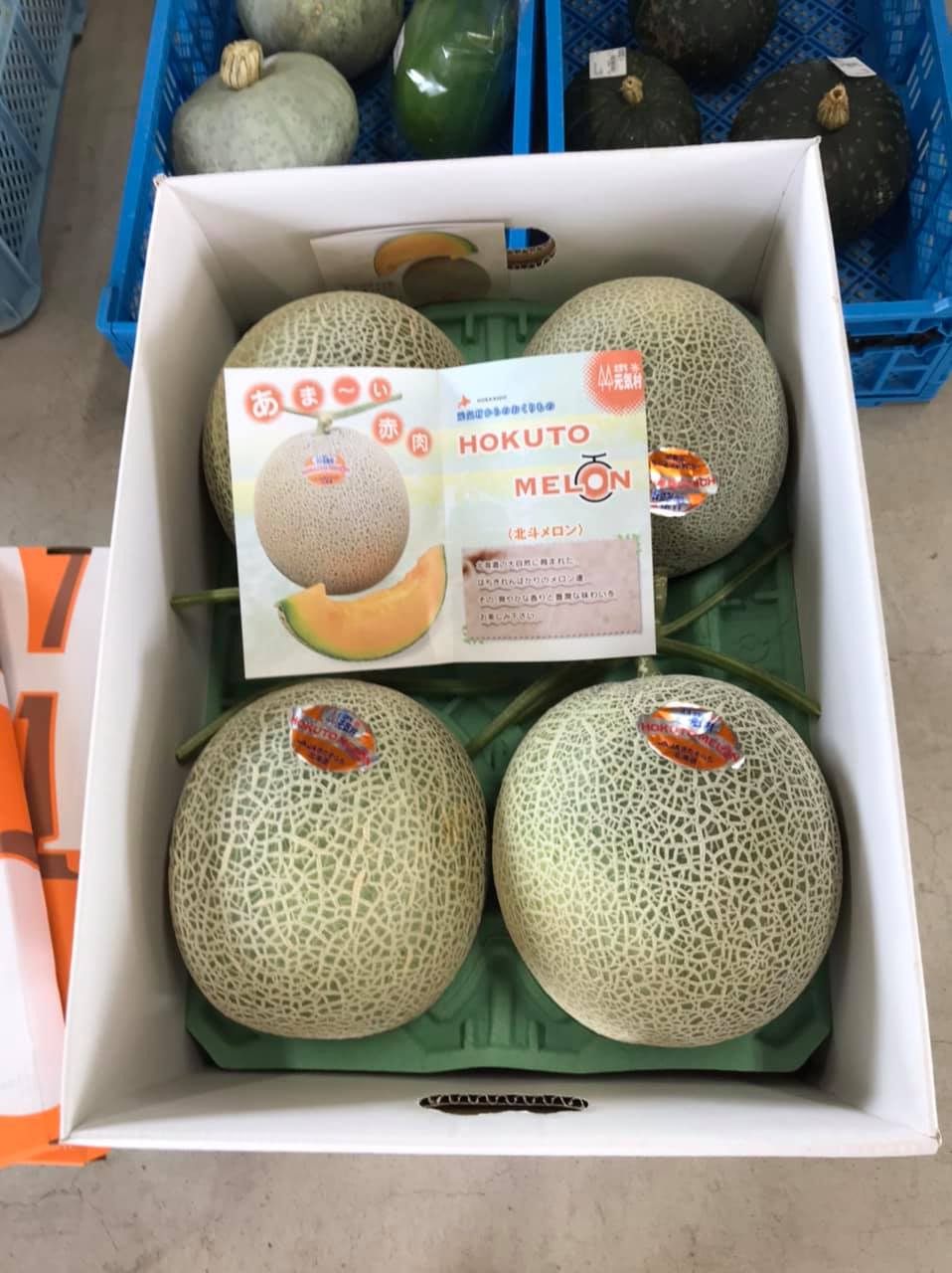 赤肉のメロンが入りました。 まだ地方発送も出来ますのでいかがですか？【みのりっち北竜】