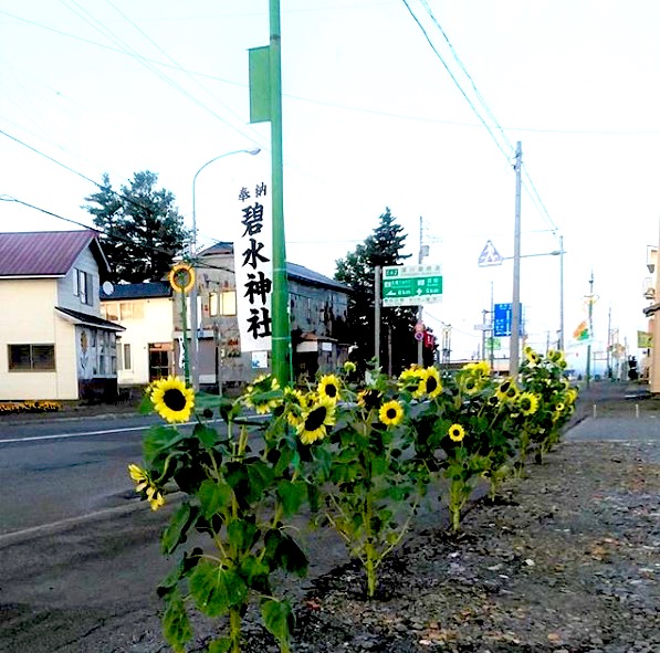 北竜町では各地域で秋のお祭りが行われました。作物の豊作を願いお神輿や獅子舞も見られました【黒千石事業協同組合】