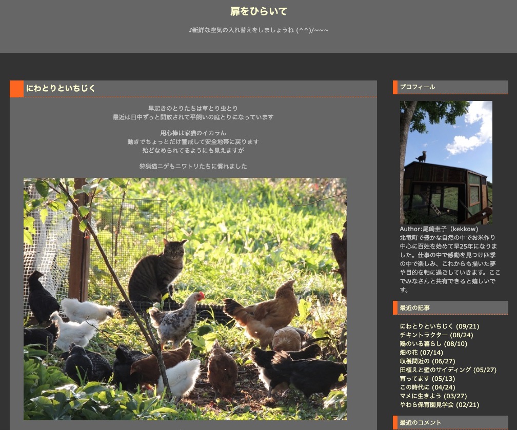 にわとりといちじく：早起きのとりたちは草とり虫とり 最近は日中ずっと開放されて平飼いの庭とりになっています【扉をひらいて・尾崎圭子さん】