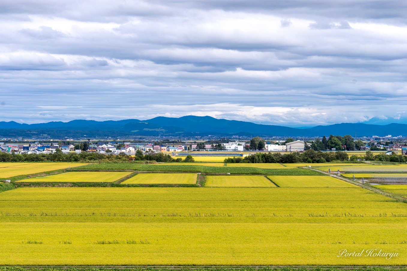 豊潤な実りに感謝をこめて