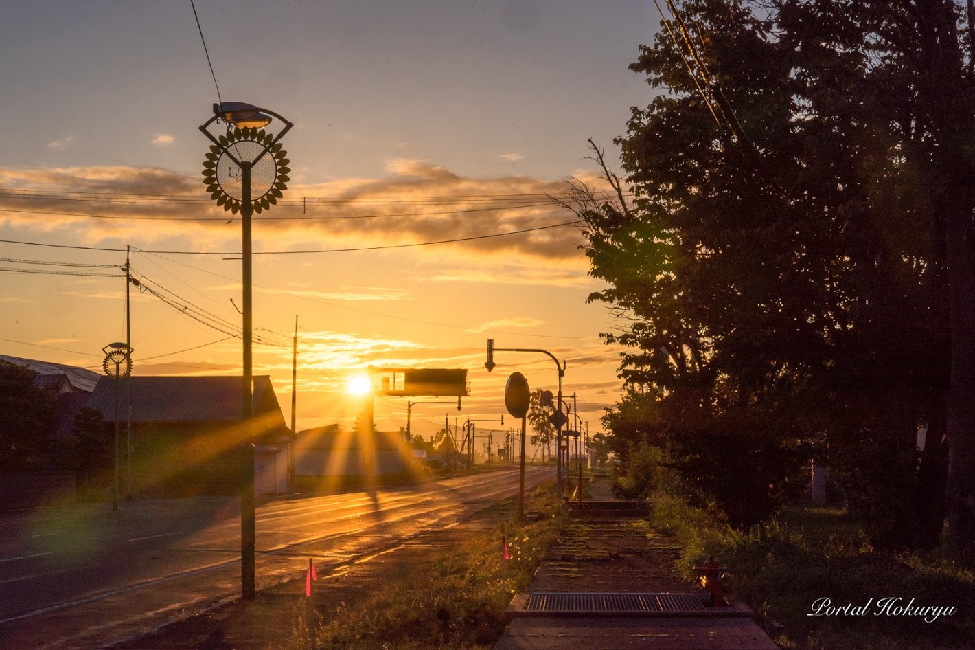 朝陽とひまわりの街灯