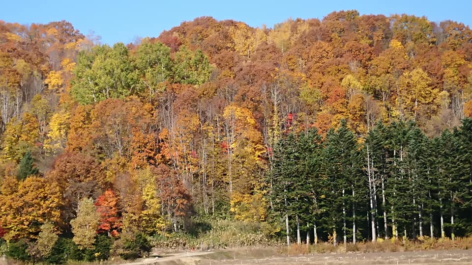 Hokuryu Kasabası Belediye Başkanı Yutaka Sano'nun faaliyet raporu: 21 Ekim (Çarşamba) personel ile görüşme (Yerleşik İşler Bölümü, Topluluk Kapsamlı Destek Merkezi, Sanayi Bölümü ve İnşaat Bölümü'nden genç personel)
