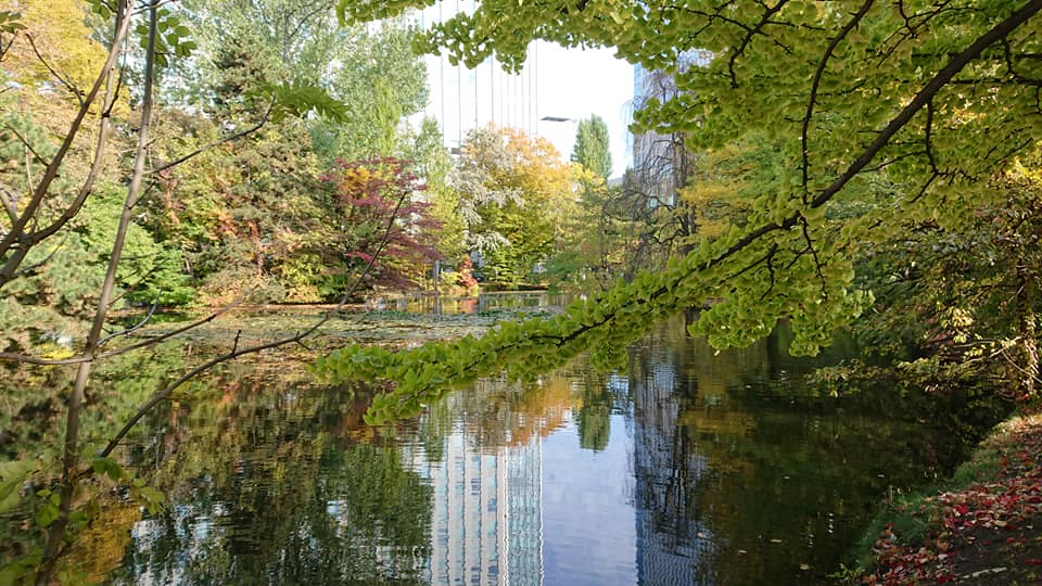 北竜町長 佐野豊 活動報告・10月23日（金）職員と懇談会(企画振興課・住民課・地域包括支援センター)、まちづくり調査等特別委員会、議会全員協議会