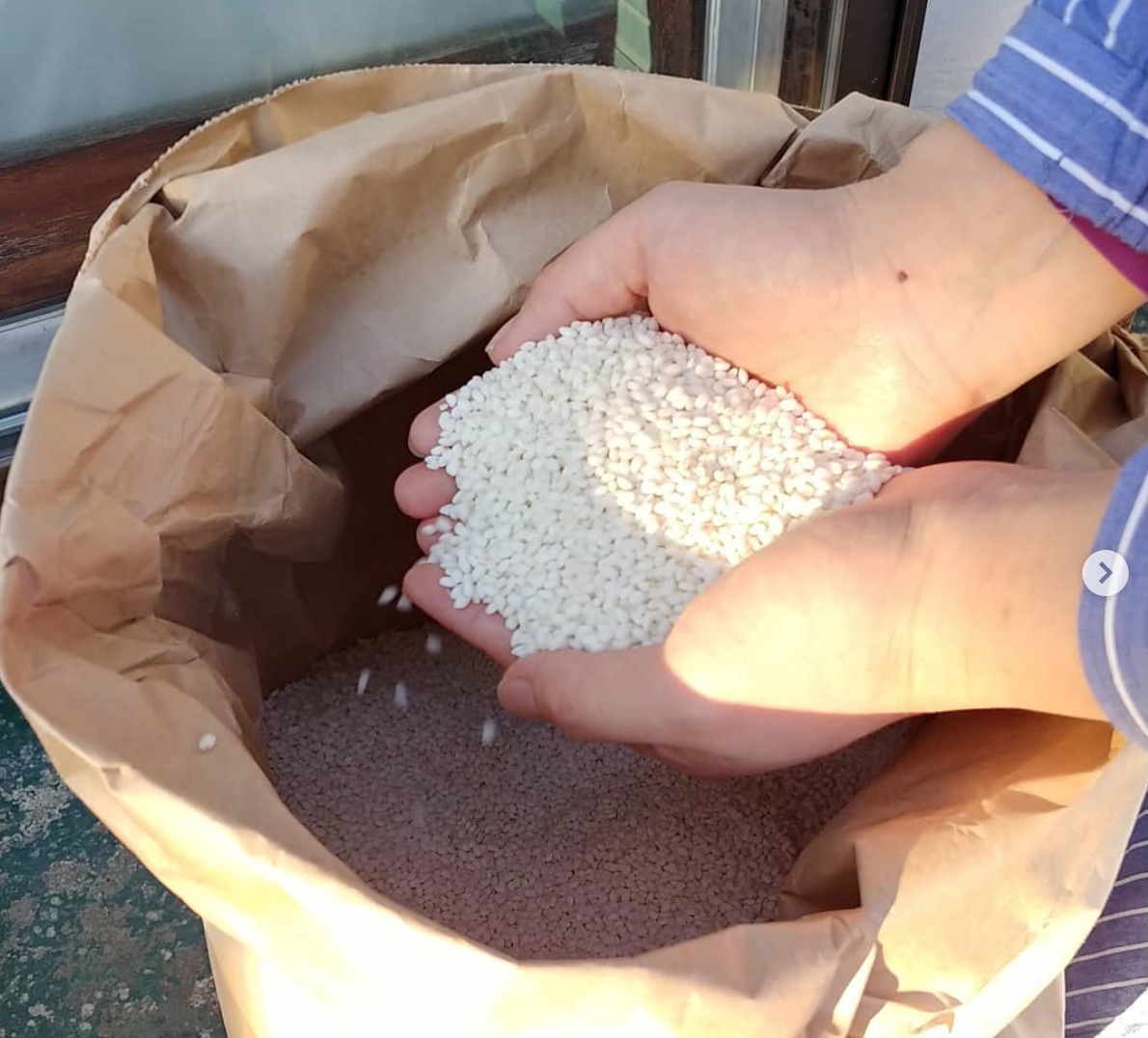 北竜町のもち米：豊かな沢水で作られた新米を、お世話になっている隣の農家、Kさんから購入。  お餅やおこわでいただきます!【自然下・上井達矢さん仁美さん】