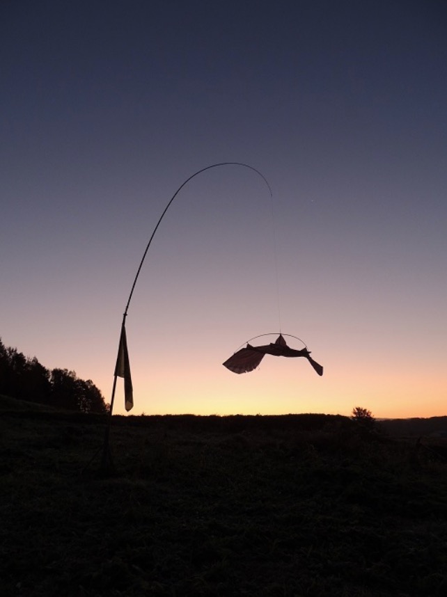 น้ำค้างแข็งแรก: เช้านี้หนาวมากและมีน้ำค้างแข็งครั้งแรกเกิดขึ้น [เปิดประตู เคโกะ โอซากิ]