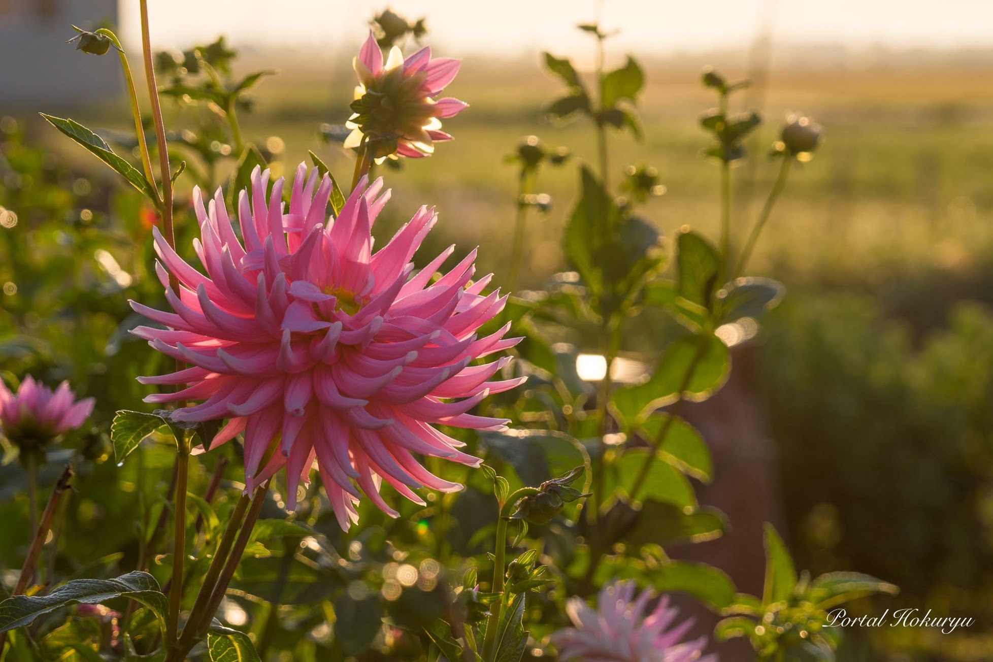 心和らぐ瞬間！
