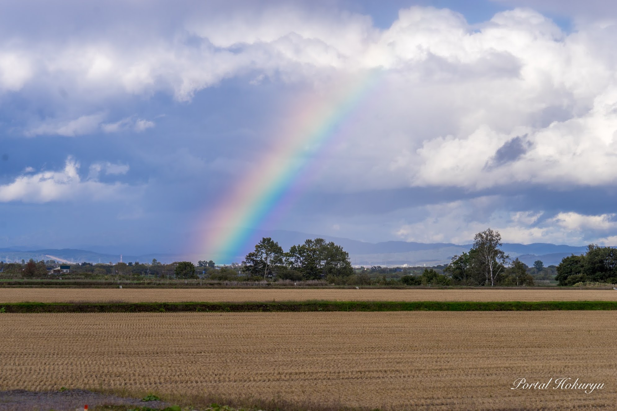 希望の光の架け橋