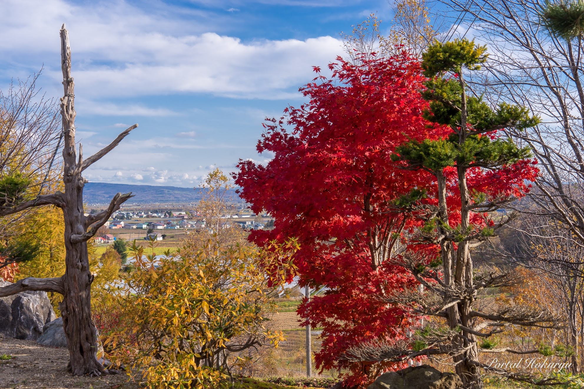 Warna-warni musim gugur di Kota Hokuryu