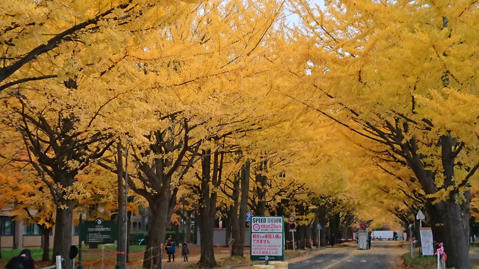 北竜町長 佐野豊 活動報告・11月9日（月）美葉牛町内会令和3年予算要望、正副議会議長と懇談