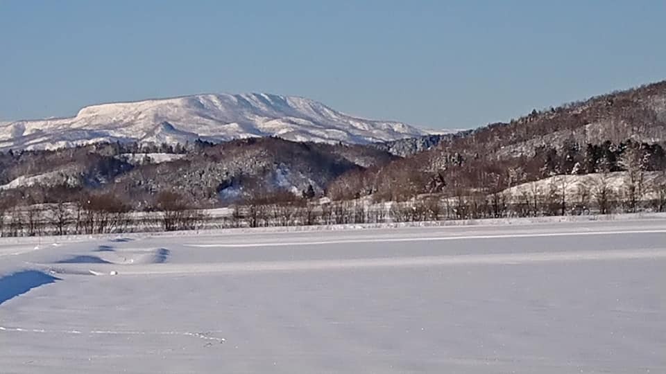 北竜町長 佐野豊 活動報告・11月10日（火）空知総合振興局副局長来訪、やわら保育園視察(山本 東神楽町長他)