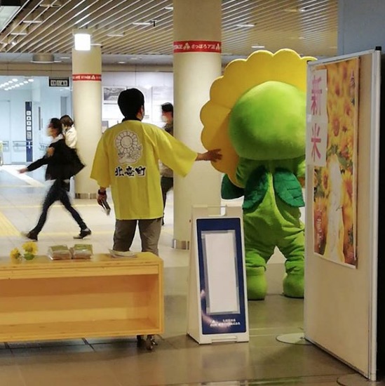 ストスパートです❗ 頑張る咲きちゃんの後ろ姿。子供たちに大人気です❗【黒千石事業協同組合】