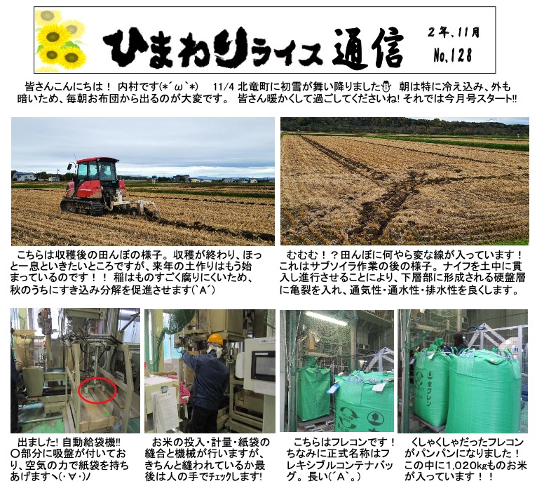 Ayçiçeği Pirinç Bülteni No. 128, Kasım 2020 [JA Kitasorachi Hokuryu Şubesi]