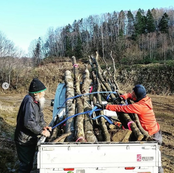 チセづくり用のエンジュ：新十津川町でアイヌの住居、チセを作っている Dream Lover株式会社の紀國さんが購入してくれました【自然下・上井達矢さん仁美さん】
