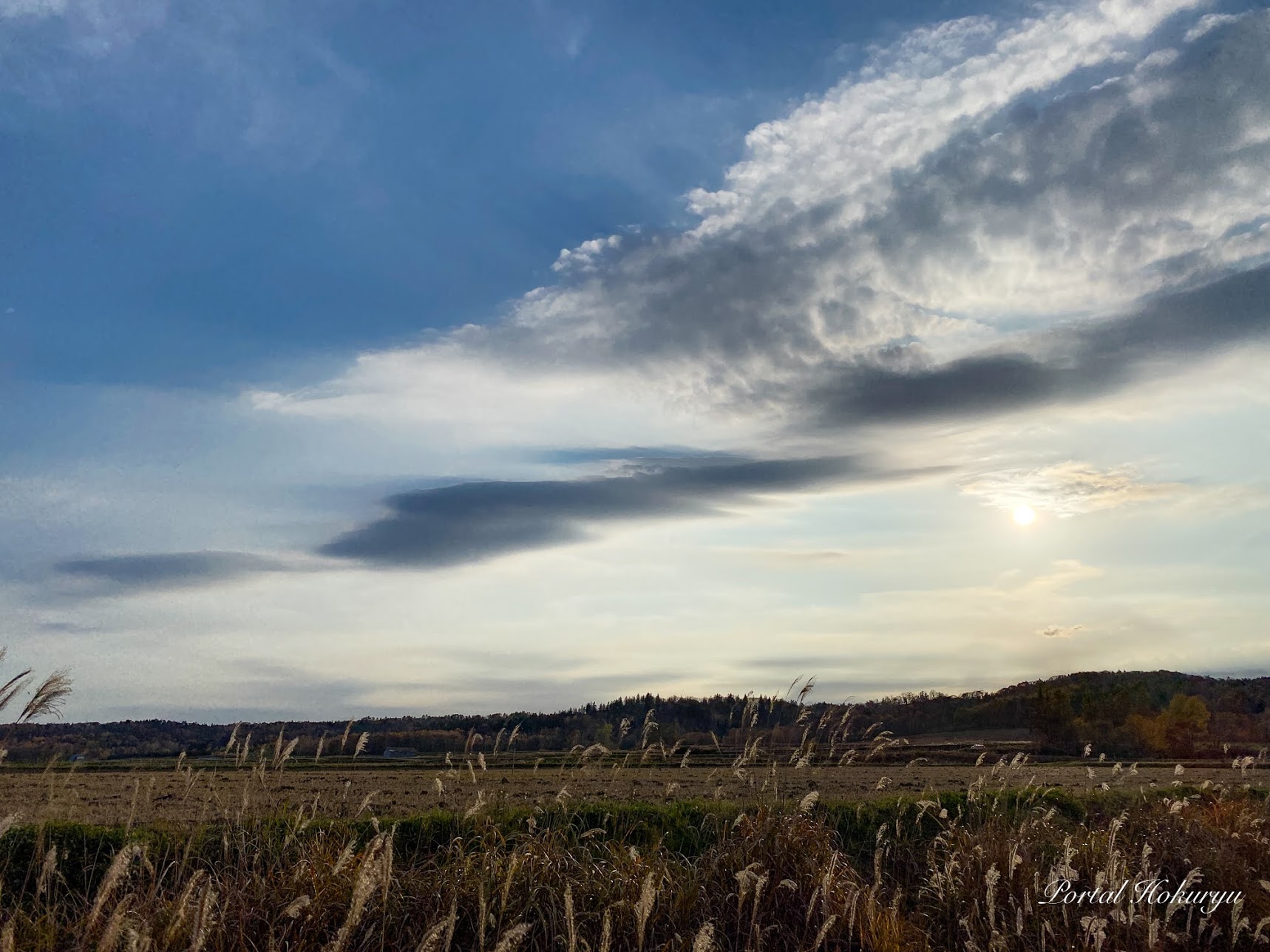 移ろう季節のはざま