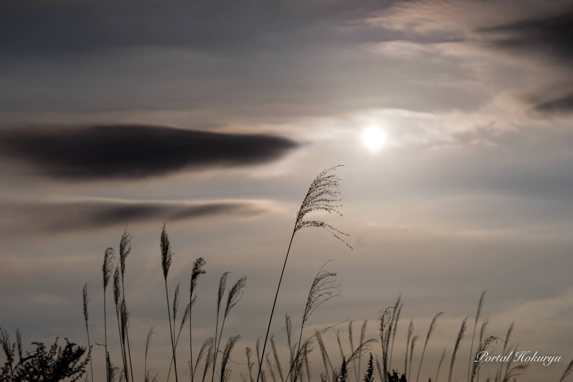 墨絵のような風景