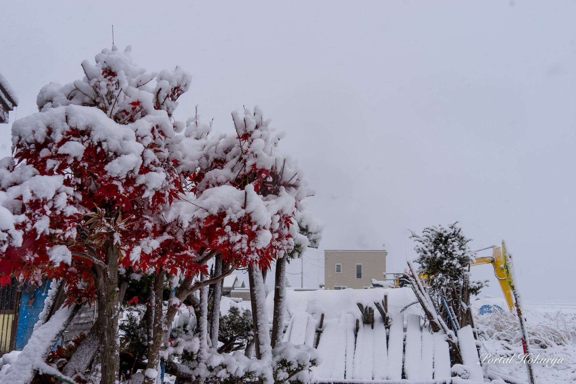 一夜にして雪景色