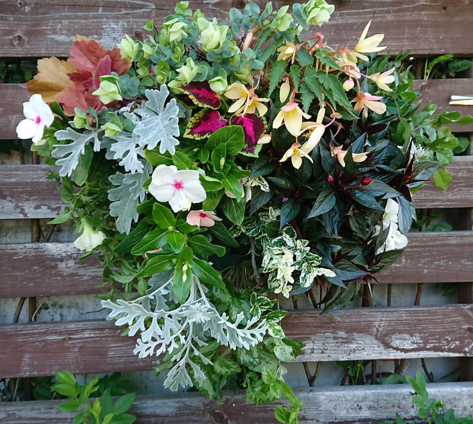 北竜町長 佐野豊 活動報告・12月14日（月）新型コロナウイルス感染症対策会議