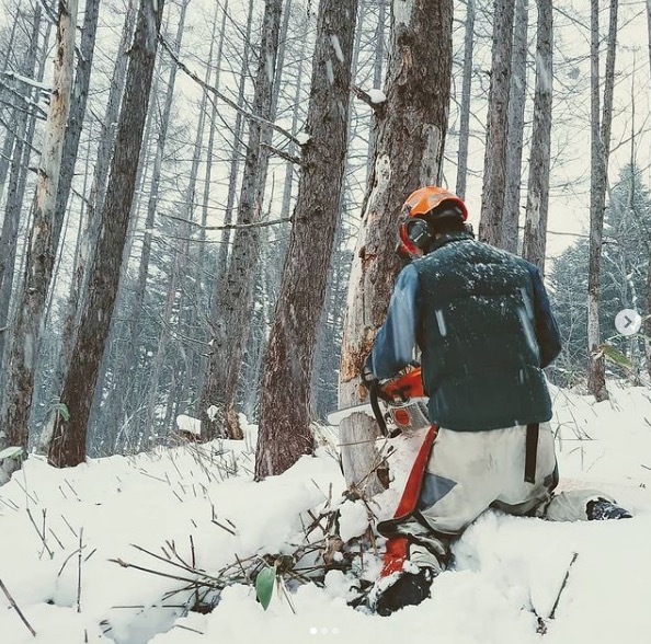 雪が降っても：笹刈りを切り上げ、枯死木(枯れ木)の片付けや蔓切りの作業を進めています【自然下・上井達矢さん仁美さん】