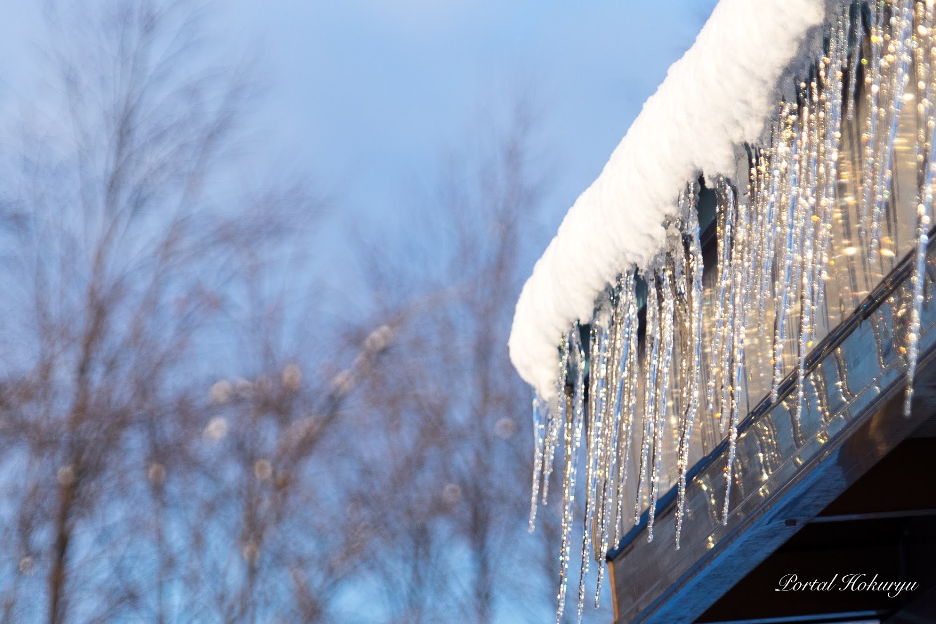 きらめく氷柱