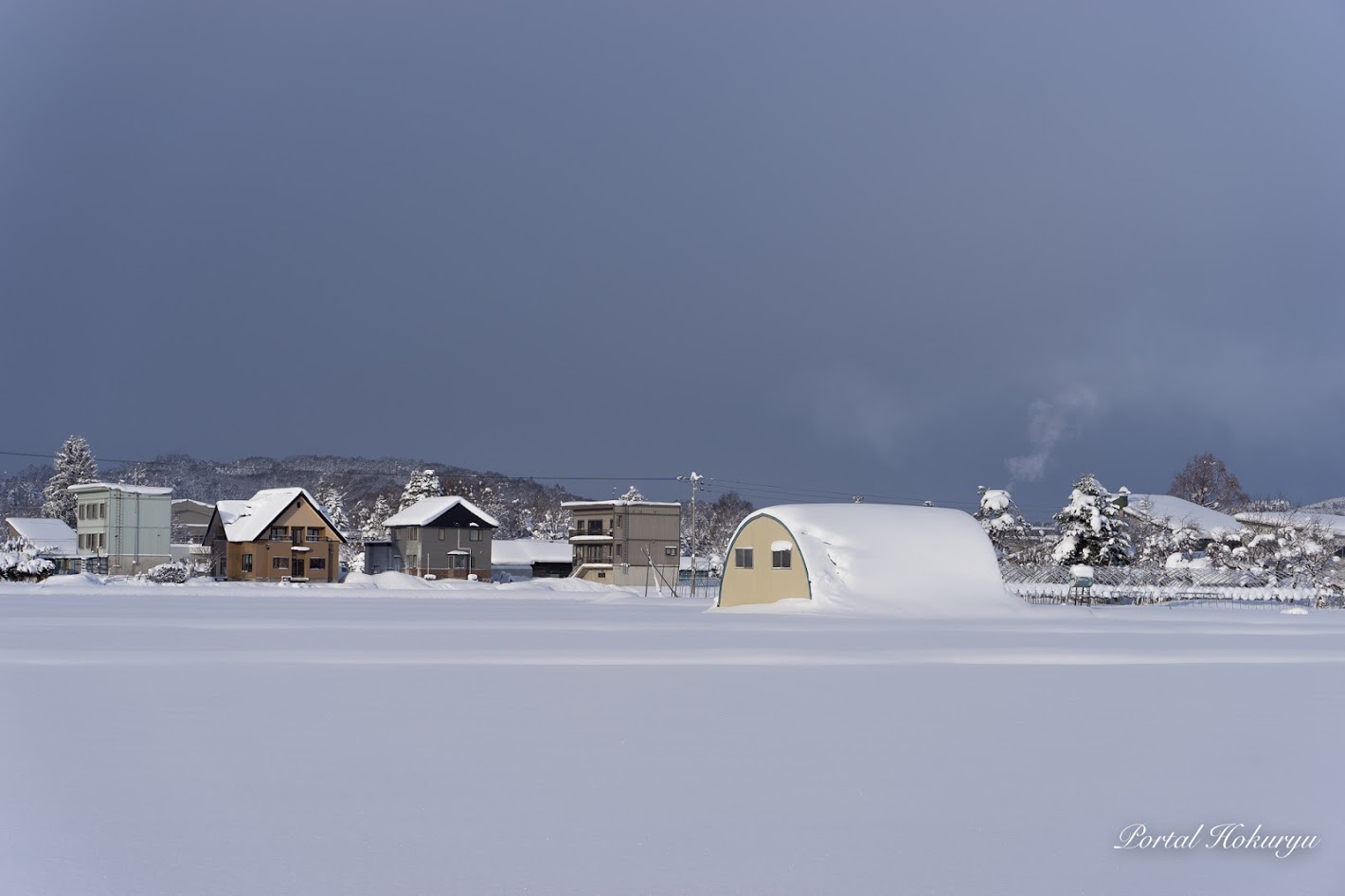 クリスマスロールケーキ