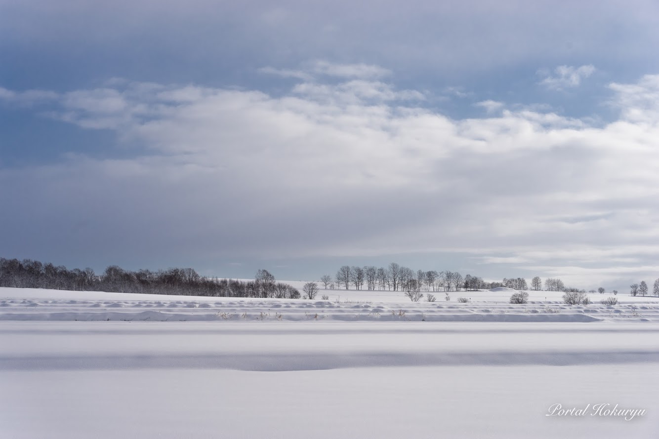 無病息災を祈る日「冬至」