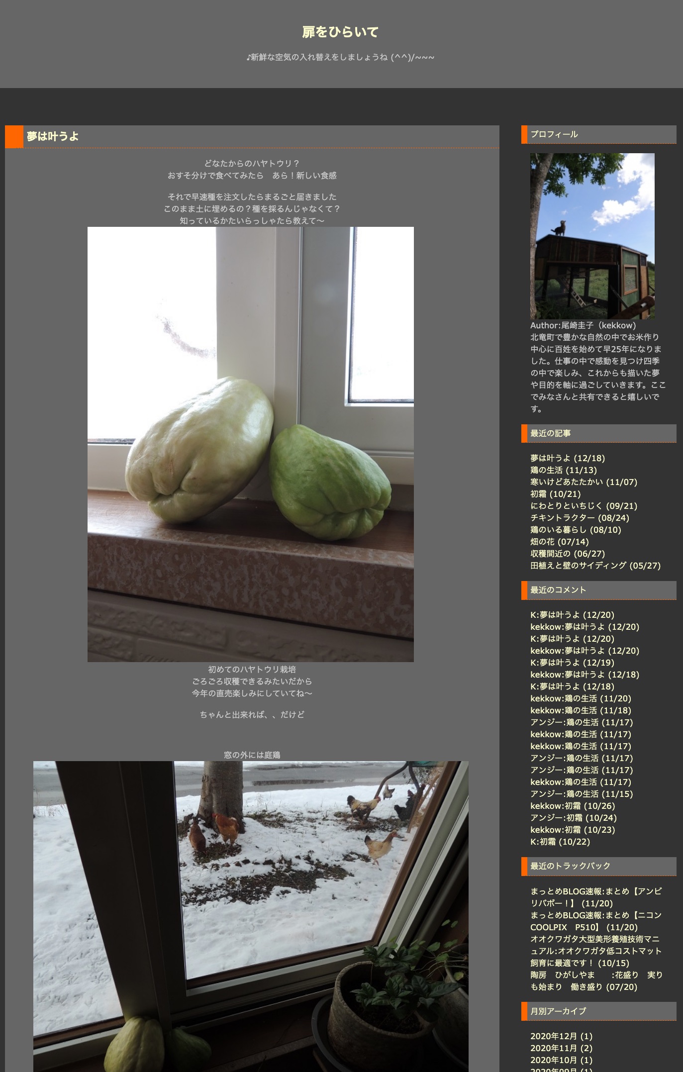 Impian Anda akan menjadi kenyataan [Buka pintunya, Keiko Ozaki].