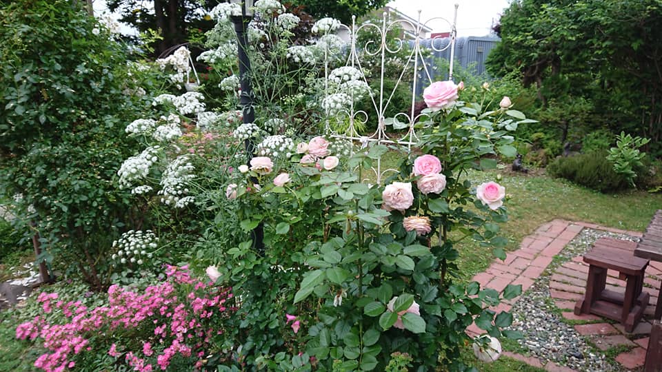 北竜町長 佐野豊 活動報告・1月7日（木）終日職員と打ち合わせ