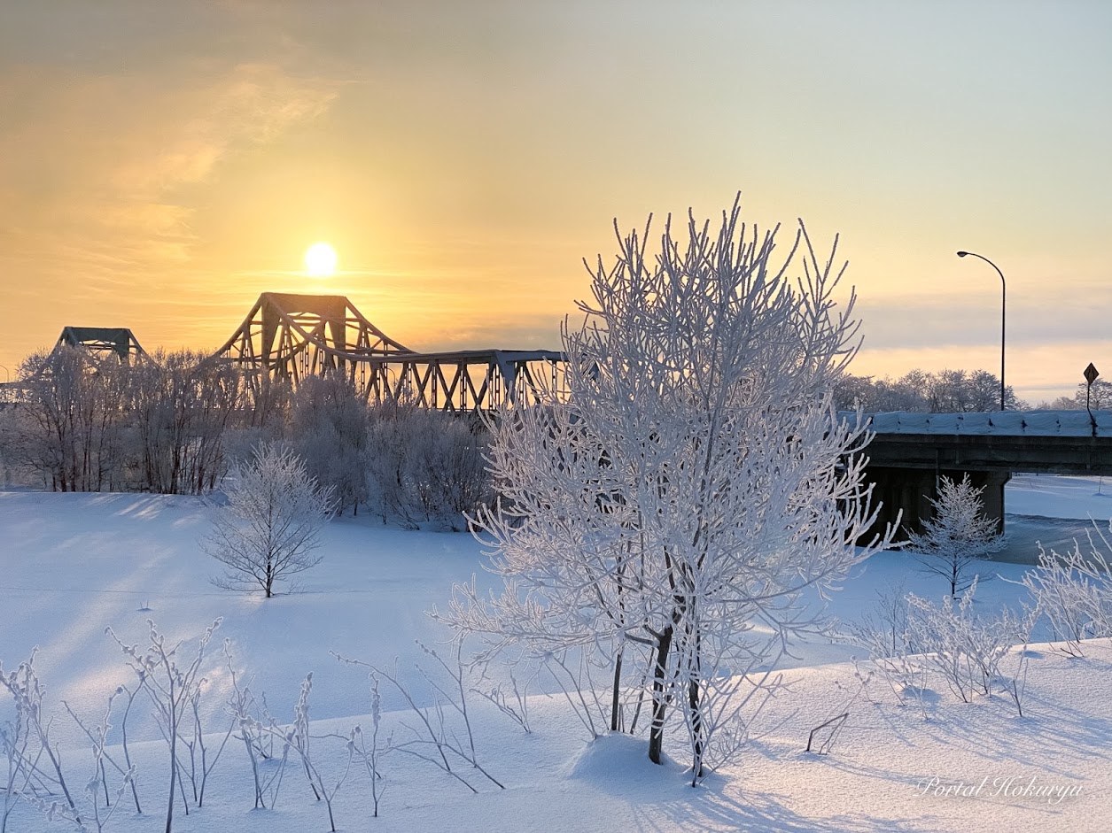 白銀の樹氷が奏でる風景