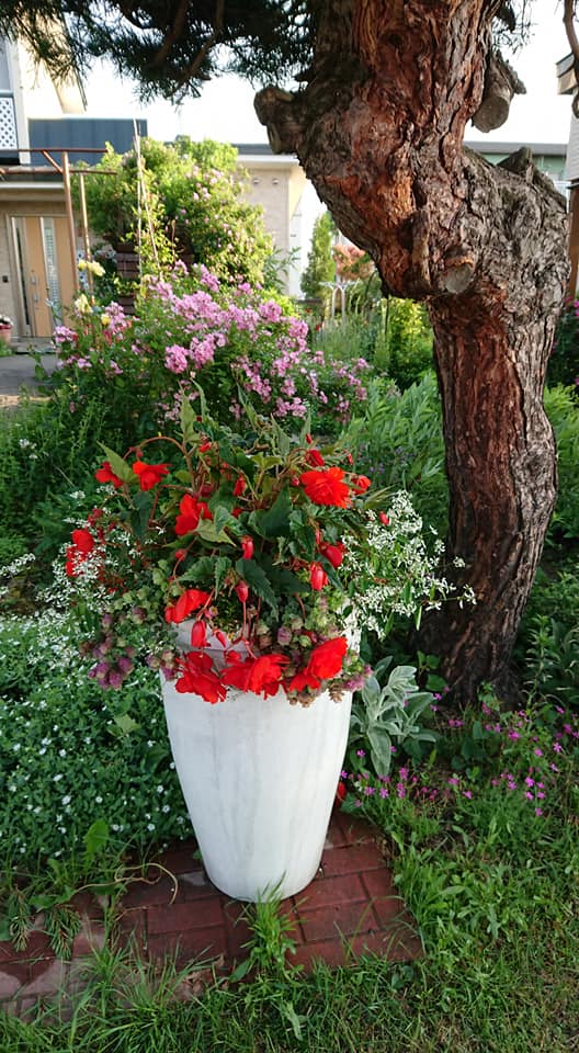 北竜町長 佐野豊 活動報告・2月9日（火）ひまわり観光協会長来訪、職員と打ち合わせ、事務書類整理