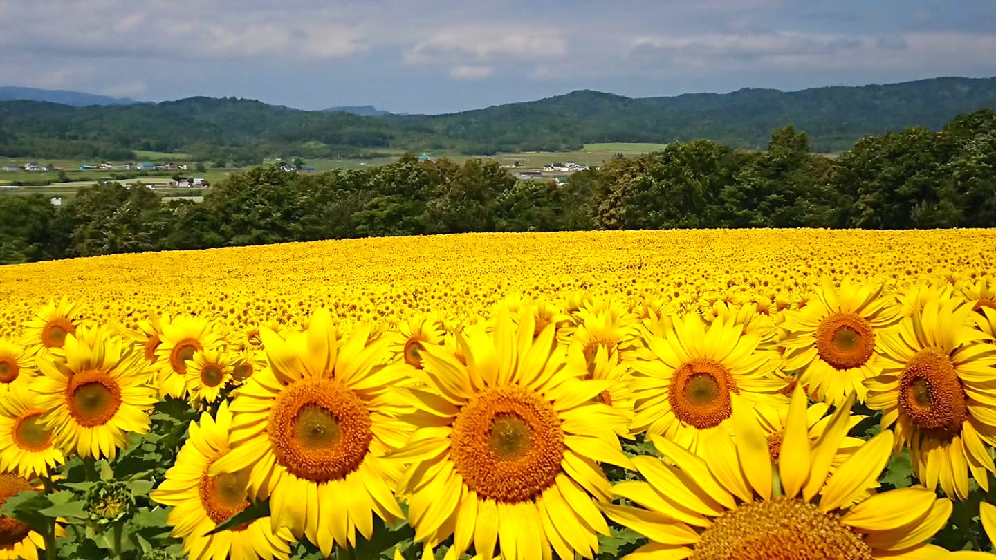 北竜町長 佐野豊 活動報告・2月22日（月）空知教育センター組合議会(滝川市) 、令和2年度第１回総合教育会議