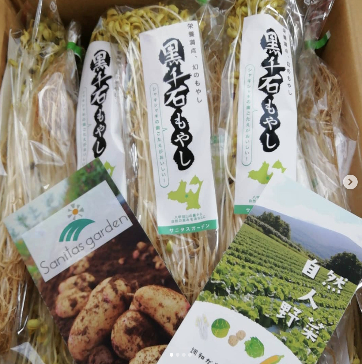 青森県のサニタスガーデンさんから注文していた黒千石もやしが届きました✨【黒千石事業協同組合】