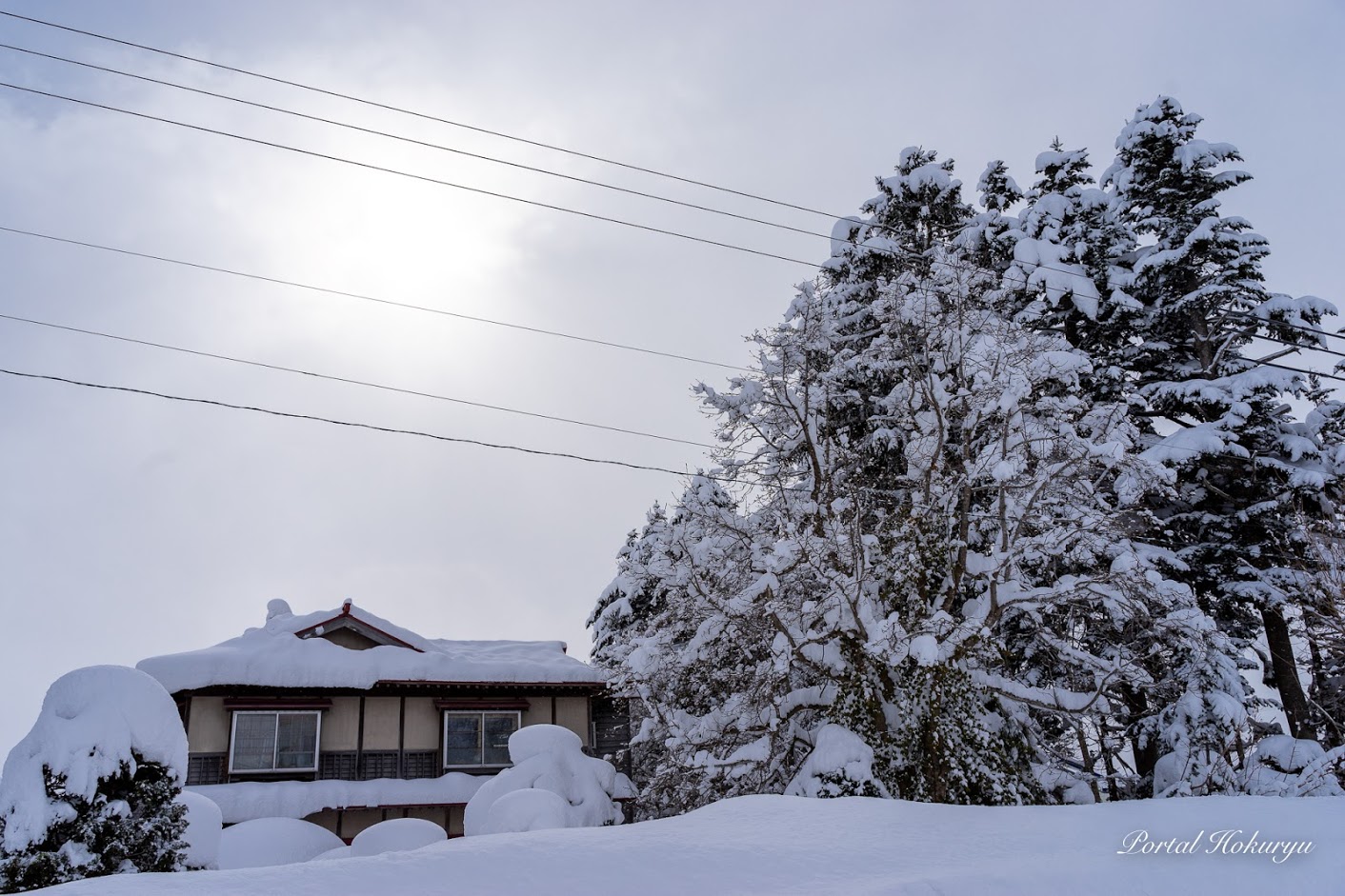 नरम रोशनी