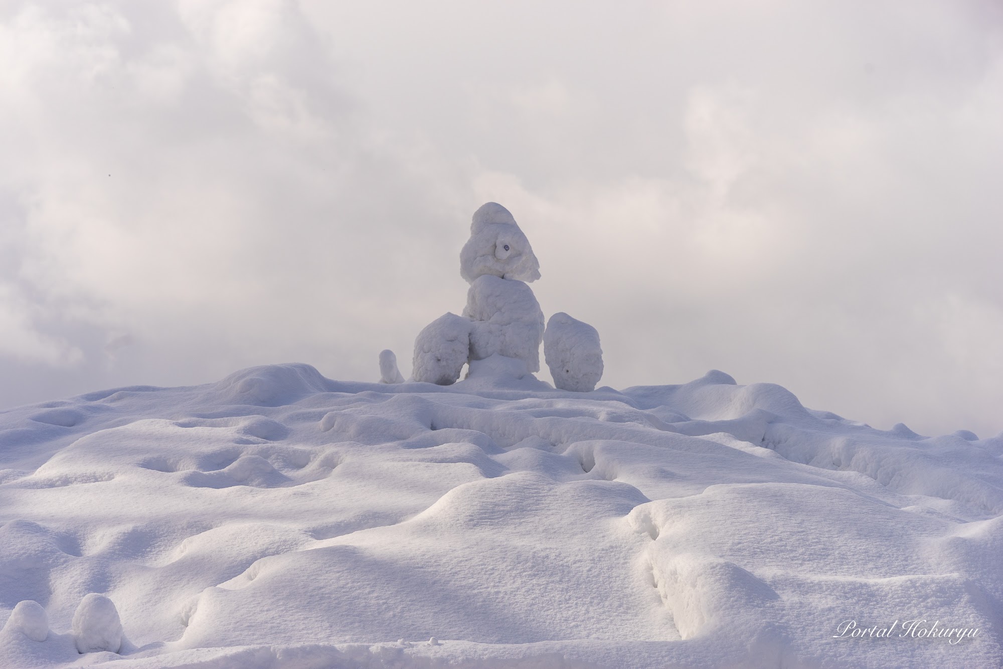頂上に設置された雪像