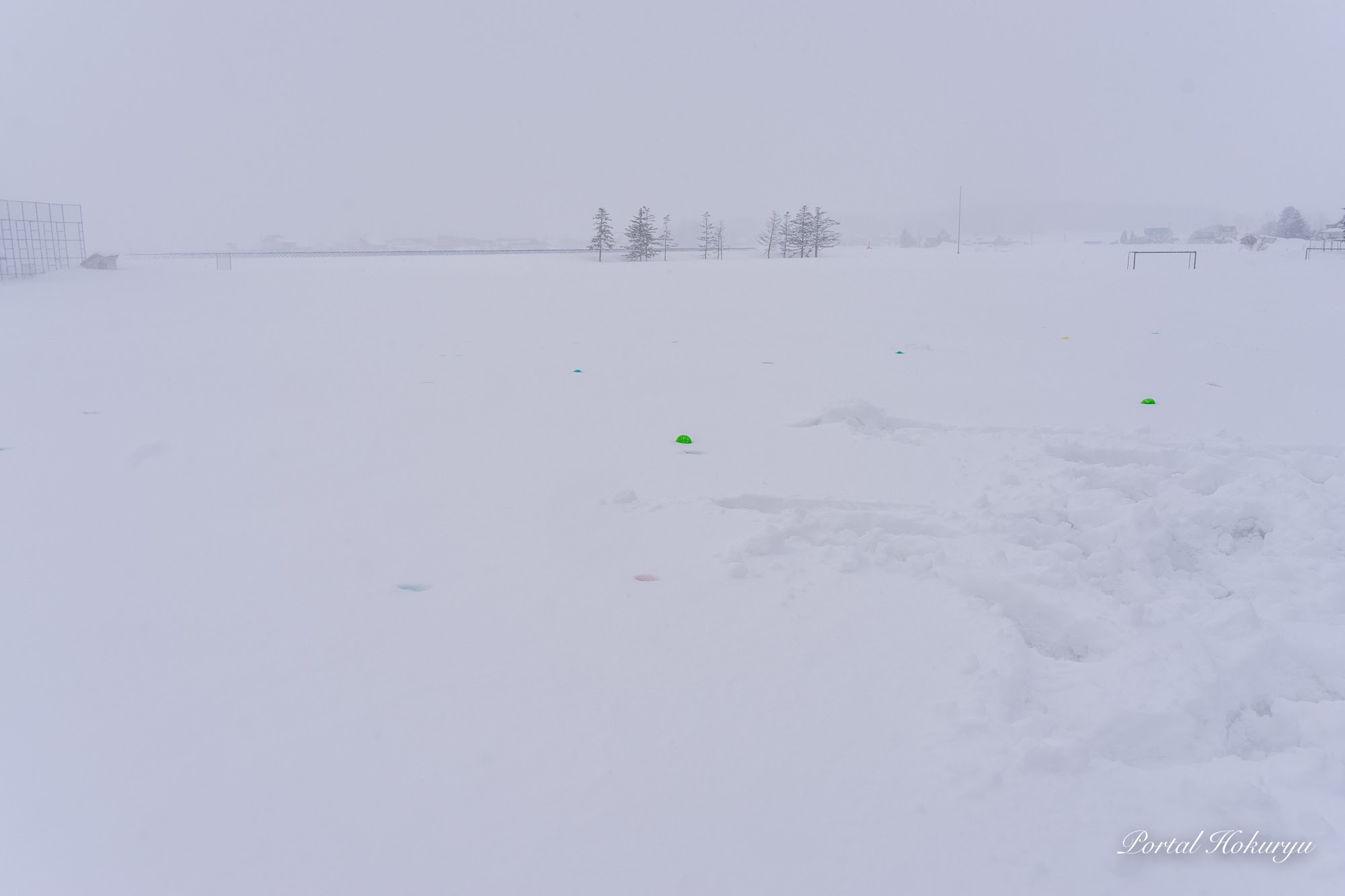 雪原に散らばるカラーボール