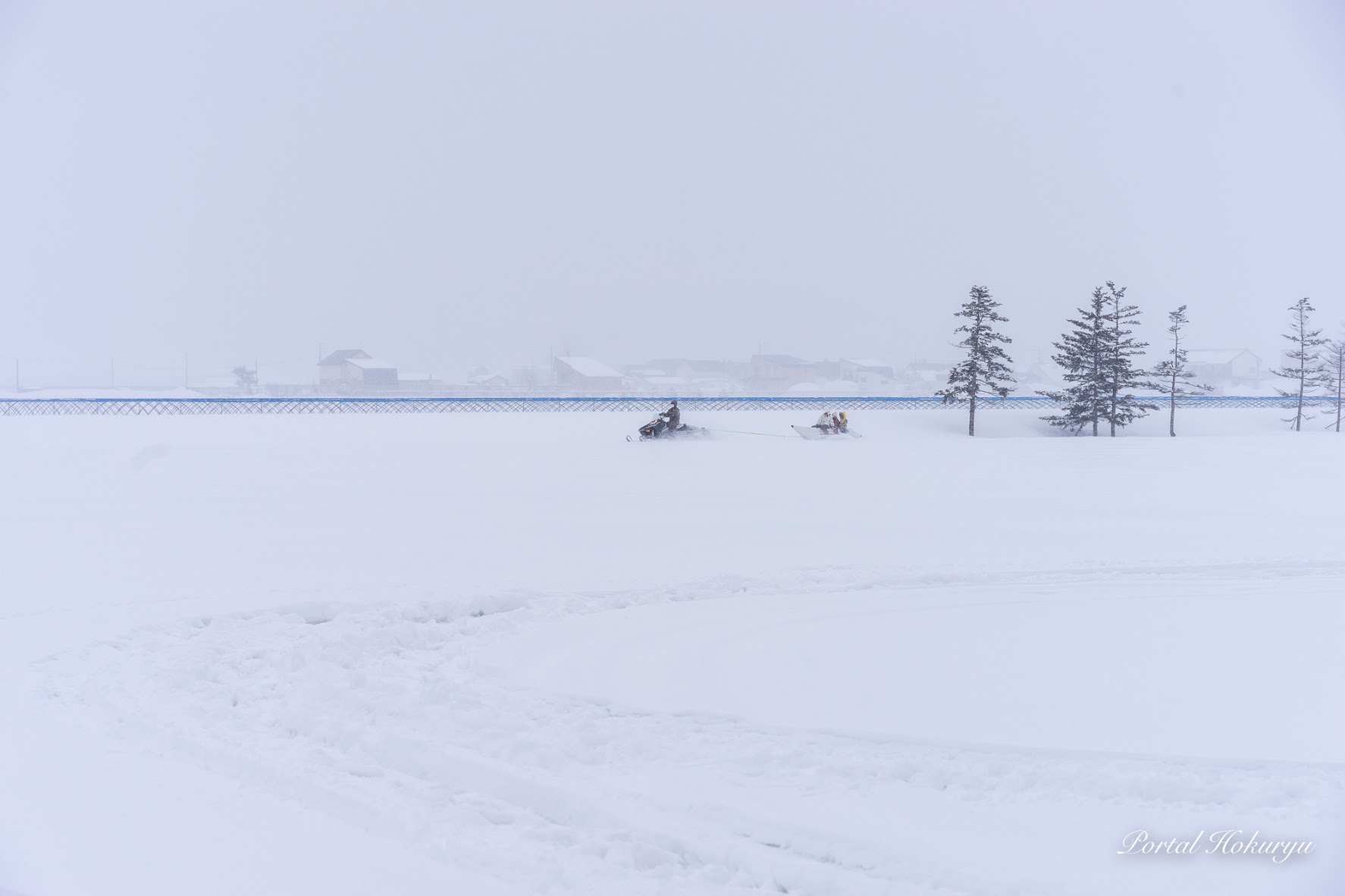 雪原を走り抜けて。。。
