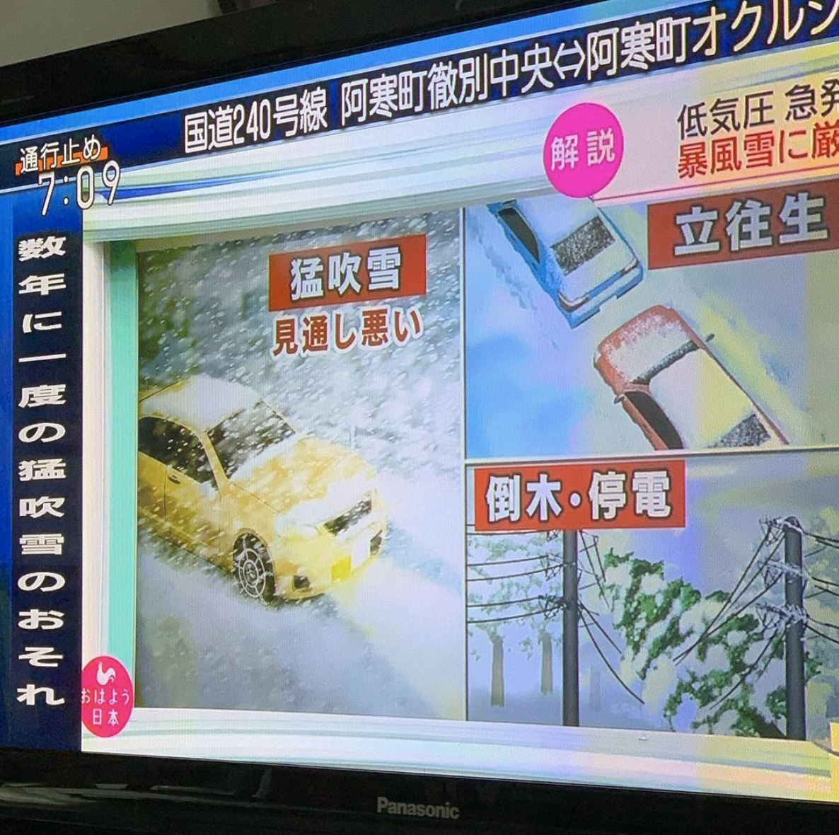 🌻 2月16日（火）本日、数年に一度の猛吹雪の予報。安全策を取り臨時休業となります 🙇‍♀️【お食事処向日葵】