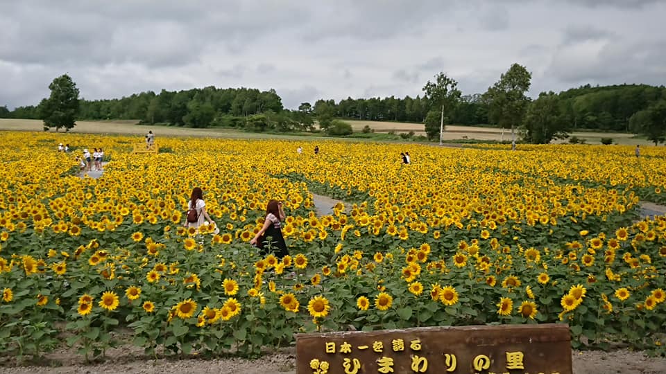 北竜町長 佐野豊 活動報告・3月2日（火）北空知広域水道企業団理事者会議(沼田町)、北海道森林管理局長来訪