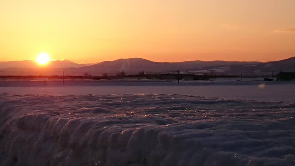 北竜町長 佐野豊 活動報告・3月15日（月）ひまわり観光協会長来訪、空知町村会奥山副会長と打ち合わせ