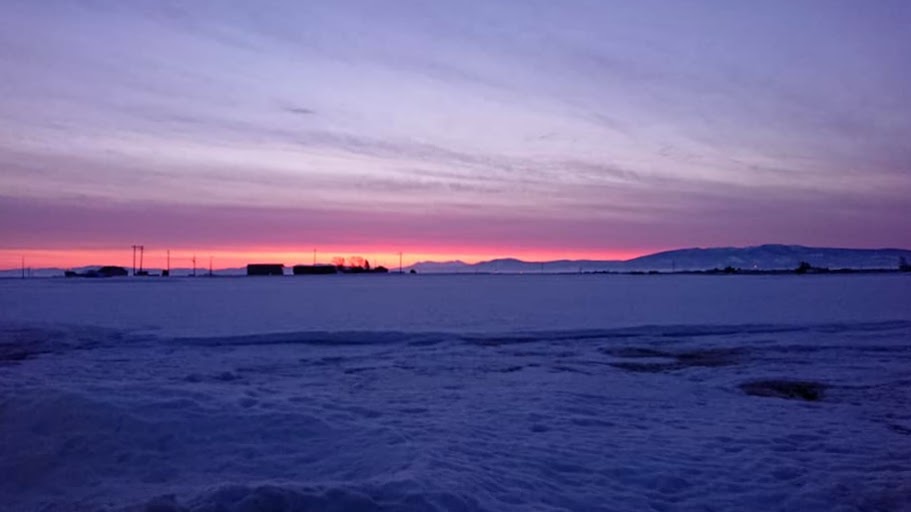 รายงานกิจกรรมของนายกเทศมนตรีเมืองโฮคุริว ยูทากะ ซาโนะ วันที่ 16 มีนาคม (วันอังคาร) รายงานผู้อำนวยการคณะกรรมการพิเศษทบทวนงบประมาณ การประชุมสมัชชาสามัญครั้งที่ 1 ของยุคเรวะ 3