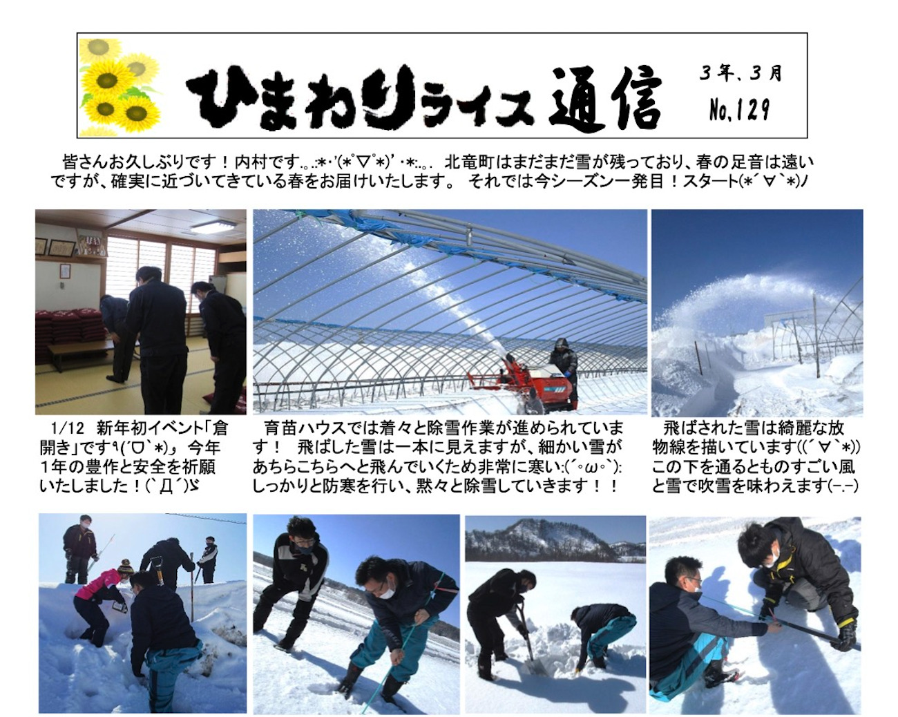 Ayçiçeği Pirinci Haber Bülteni No. 129, Mart 2021 [JA Kitasorachi Hokuryu Şubesi]