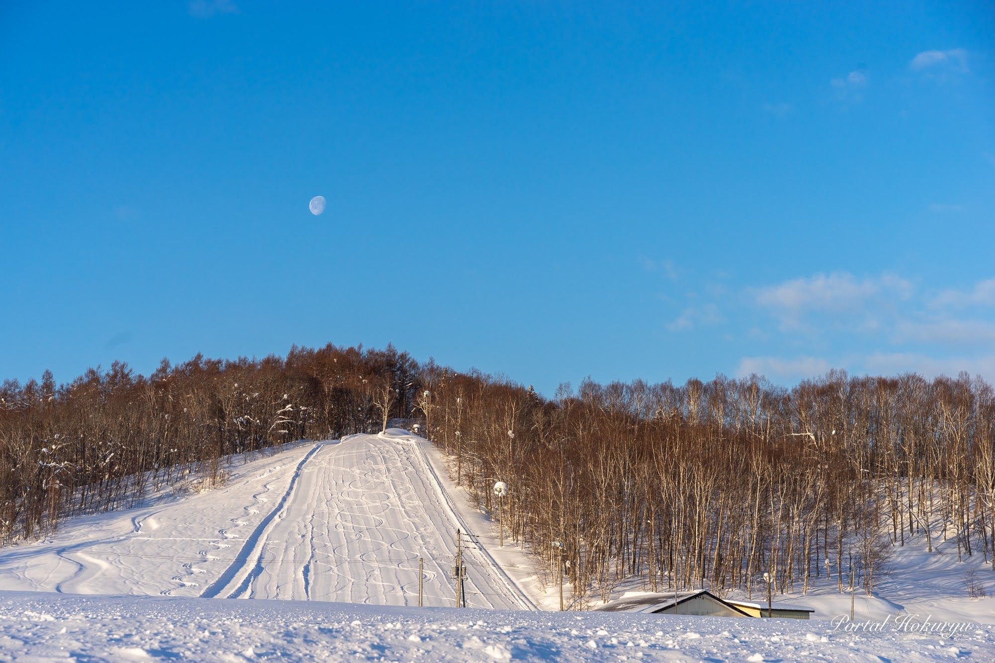 ศิลปะหิมะที่สร้างสรรค์จากรอยสกี