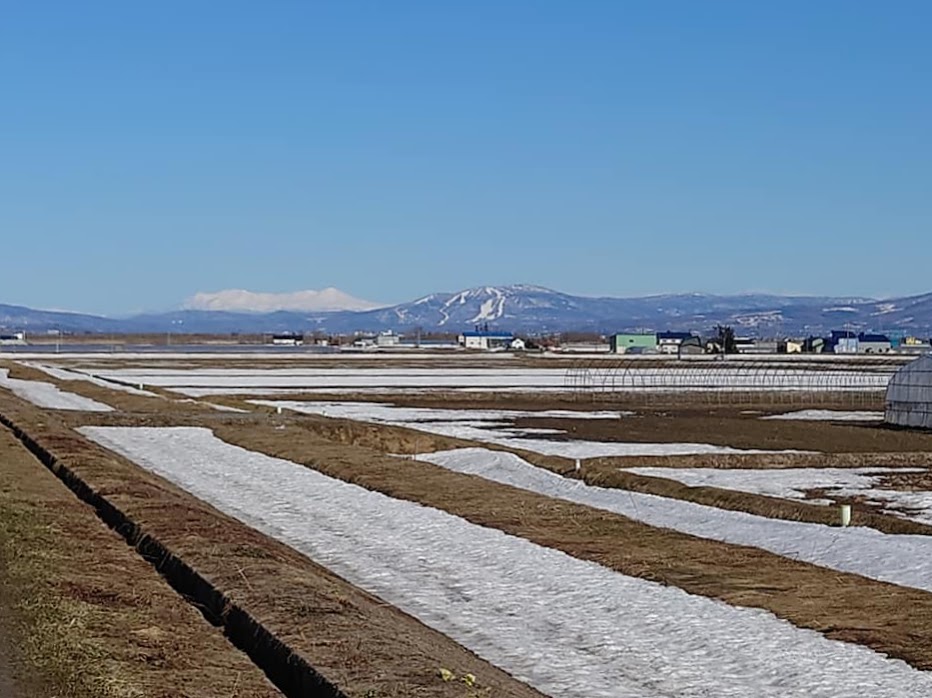 北竜町長 佐野豊 活動報告・4月5日（月）北海道農業公社道央支所長来訪、札幌開発建設部長来訪