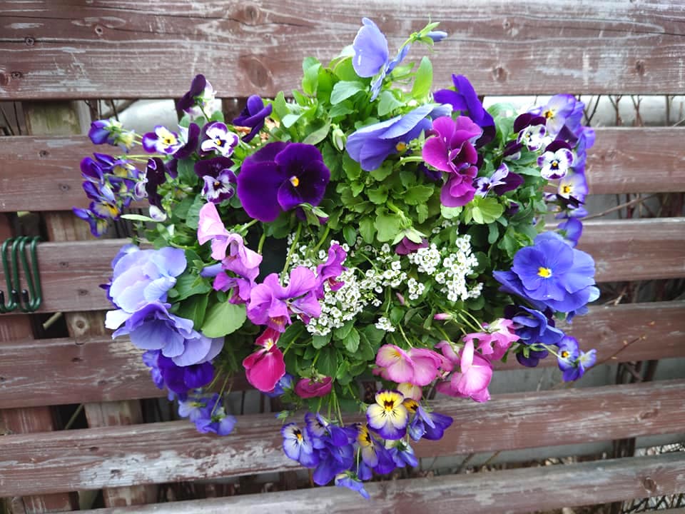 Hokuryu Kasabası Belediye Başkanı Yutaka Sano'nun faaliyet raporu - Pazartesi, 26 Nisan: Sorachi Kapsamlı Kalkınma Derneği (Fukagawa Şehri) başkanı ve başkan yardımcısının toplantısı, yeni bölgesel kalkınma işbirliği ekibi üyeleriyle görüşme