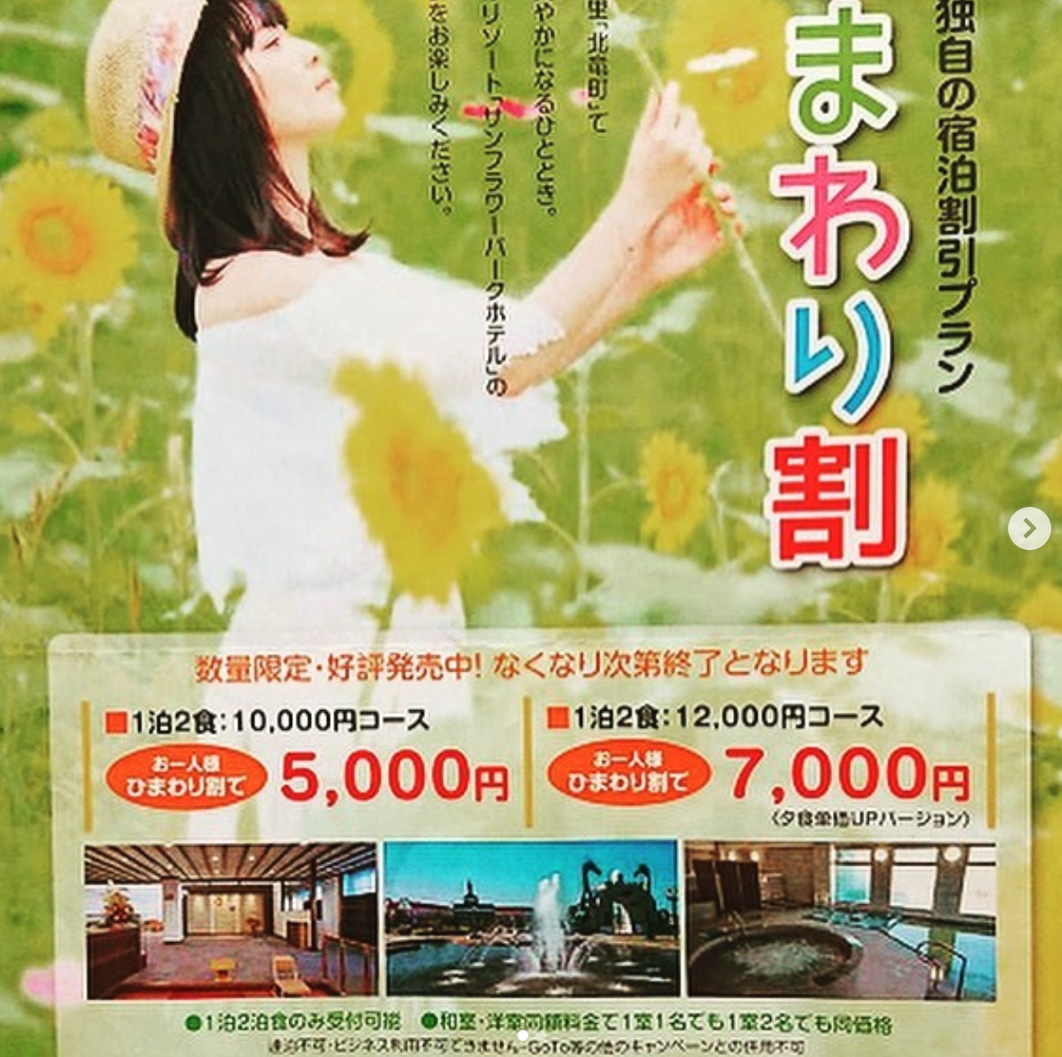 ひまわり割引き宿泊 🌻 1泊2食で5000円 🤗 先着800名で終了となります！【サンフラワーパーク北竜温泉】